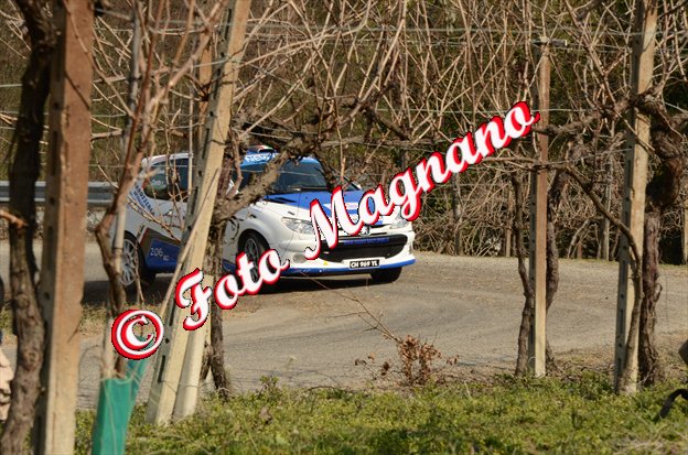 DSC_7182.jpg